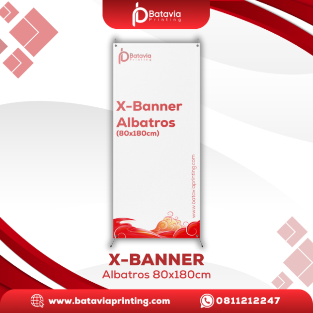 X Banner Albatros 80x180cm